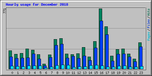 Hourly usage for December 2018